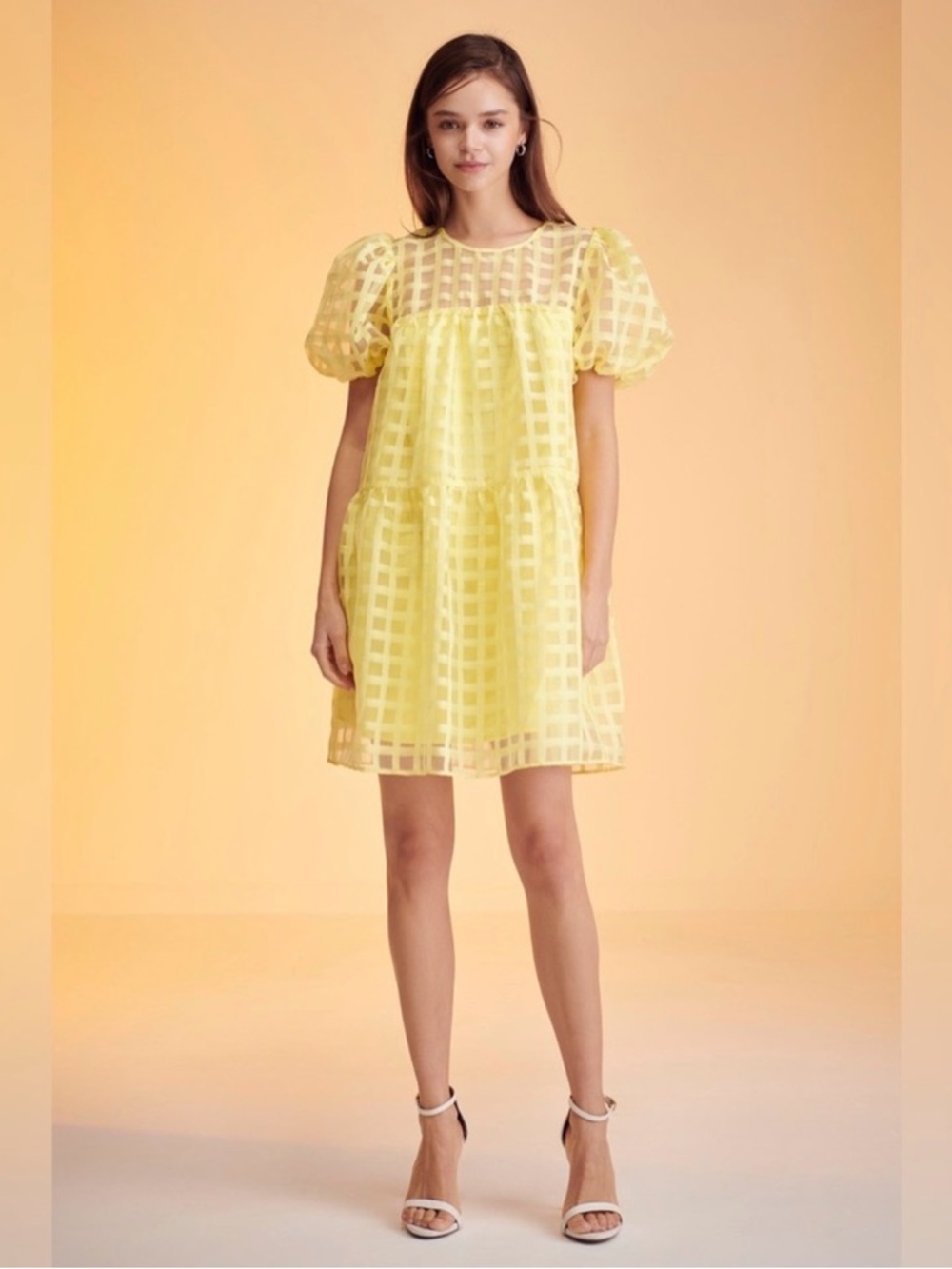 NWT English Factory Gridded Organza Mini Dress